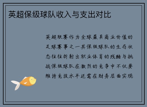 英超保级球队收入与支出对比
